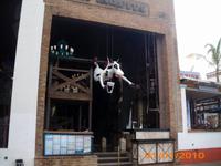 DSCI0179_Lokalwerbung