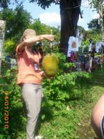 DSCI0242_angeblich Viagra-Frucht