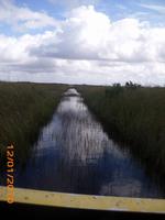 DSCI0348_einfach der Spur folgen