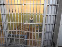 Alcatraz