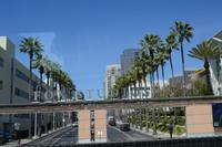 Beverly Hills (1)