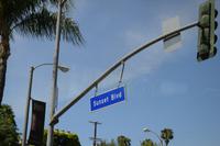Beverly Hills (4)