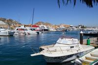 Cabo san Lucas (3)