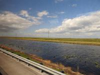 Everglades