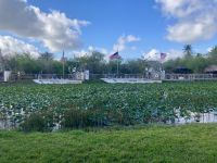 Everglades