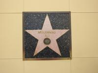 Hollywood