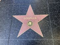 IMG_8051.jpeg