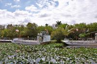 In den Everglades