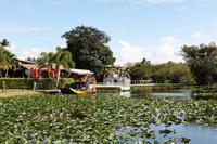 In den Everglades