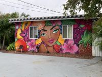 Little Havanna