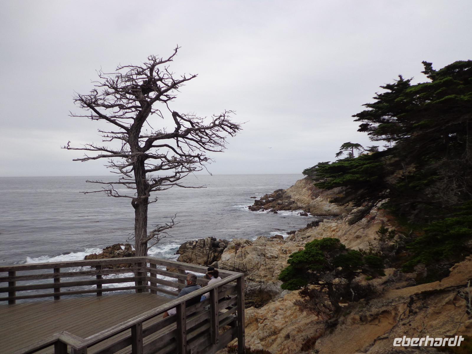 Mile Drive