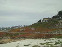 Mile Drive
