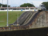 Muli