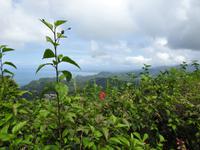 Nationalpark Carara