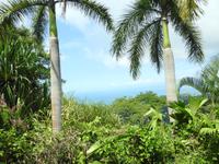 Nationalpark Carara