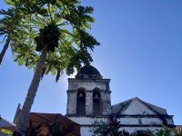 Nogueras, Mexiko 