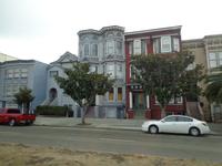 Painted Ladies