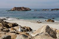 Pebble Beach
