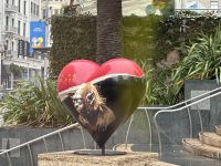 San Francisco  - hier hab ich mein Herz verloren 