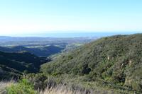 Santa Barbara