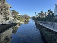Venice Canal