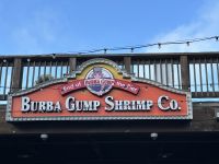 am Fisherman‘s Wharf - San Francisco 