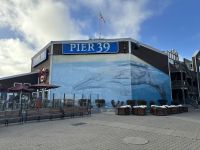 am Fisherman‘s Wharf - San Francisco 