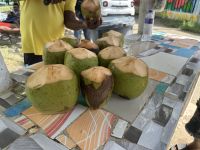 erfrischendes Kokoswasser