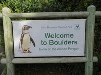 Am Boulders Beach ....