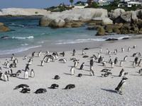 ... zahlreich vertreten