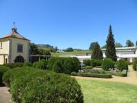 Weinprobe auf dem Morgenhof-Weingut