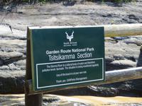 Spaziergang durch den Tsitsikamma-Nationalpark