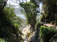 Spaziergang durch den Tsitsikamma-Nationalpark