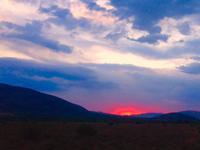 Abendliche Pirschfahrt im Pilanesberg NP