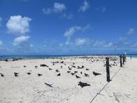 Katamaranfahrt zum Great Barrier Reef