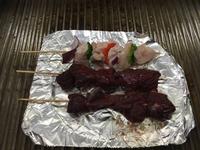 Wir grillen selbst: Emu und Krokodil