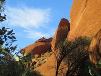 Sonnenaufgang am Uluru