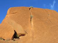 Sonnenaufgang am Uluru