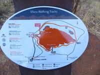 Sonnenaufgang am Uluru