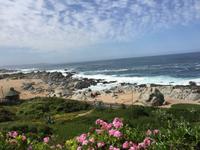 Isla Negra - bei Pablo Neruda