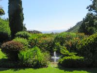 Delheim Weingut, Südafrika