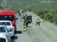 Ausflug Kap-Halbinsel