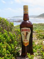 Kap-Taufe mit Amarula