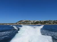 Walsafari, Plettenberg Bay