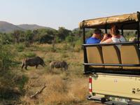 Safari Pilanesberg Nationalpark