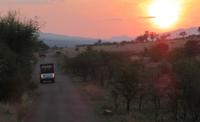 Safari Pilanesberg Nationalpark