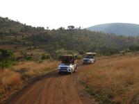 Safari Pilanesberg Nationalpark