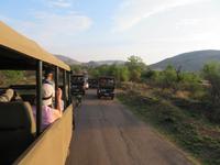Safari Pilanesberg Nationalpark