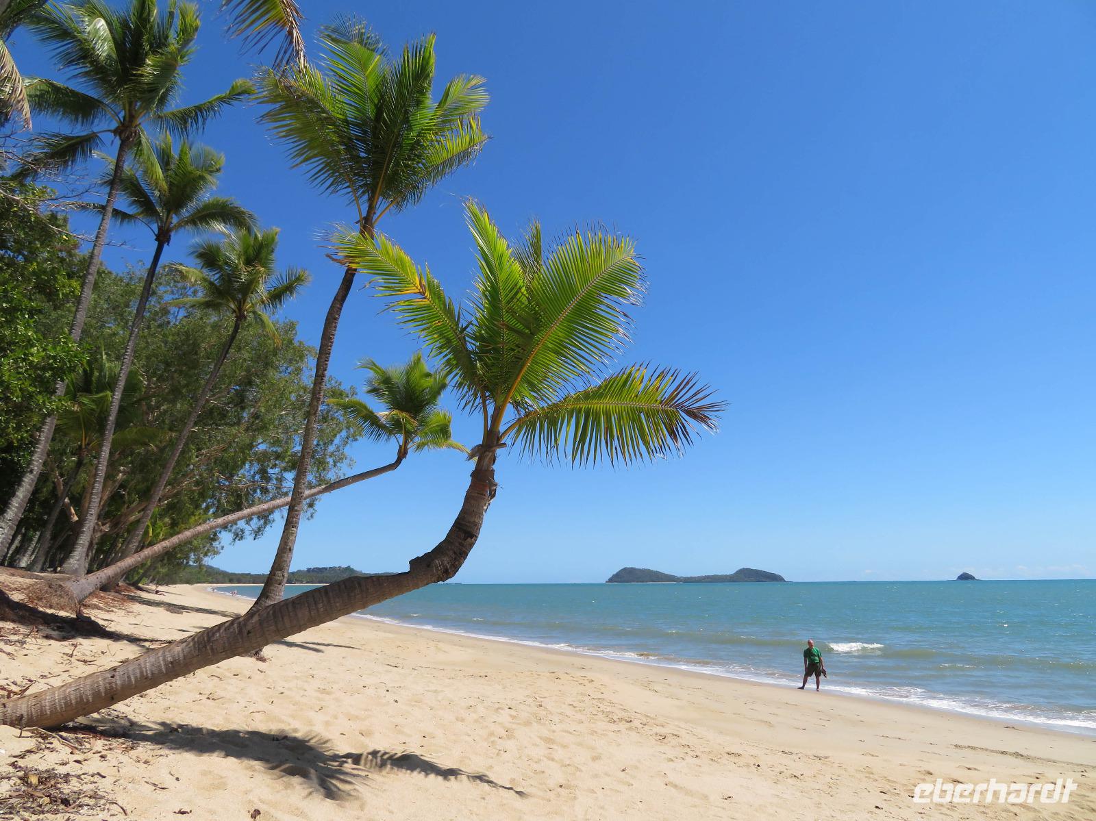 Strand von Palme Cove