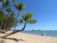 Strand von Palme Cove